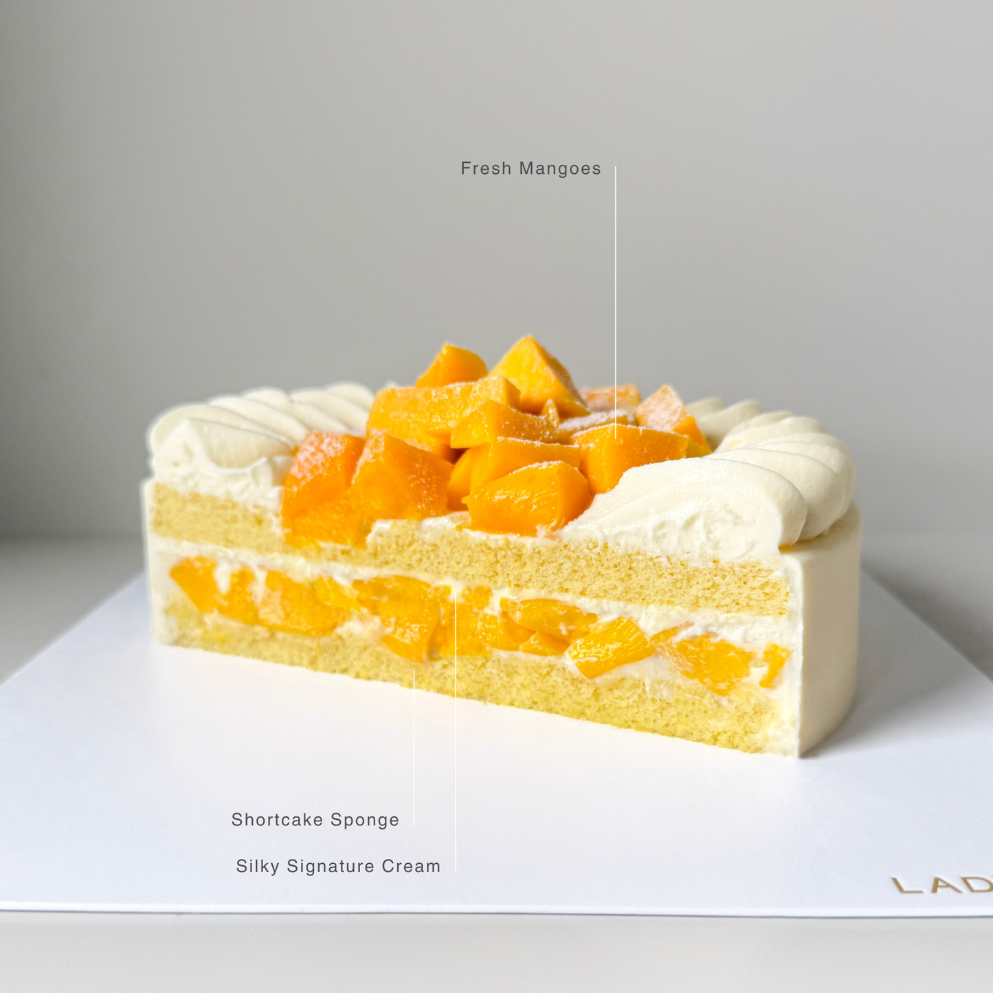 Mango Shortcake - 7 inches